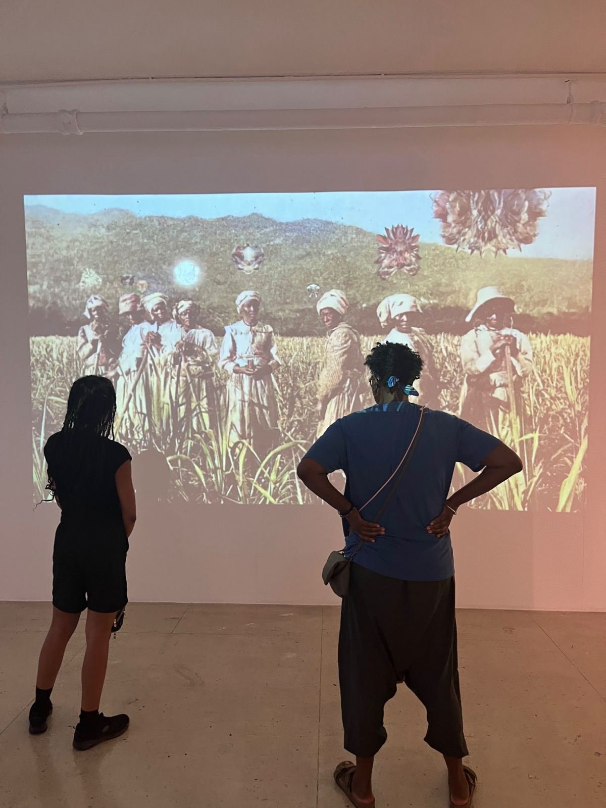 Two visitors watching a projected film of people working in a field