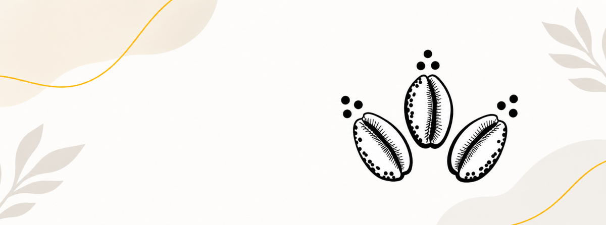 Three hand-drawn cowrie shells with leaves and gold lines on a cream background